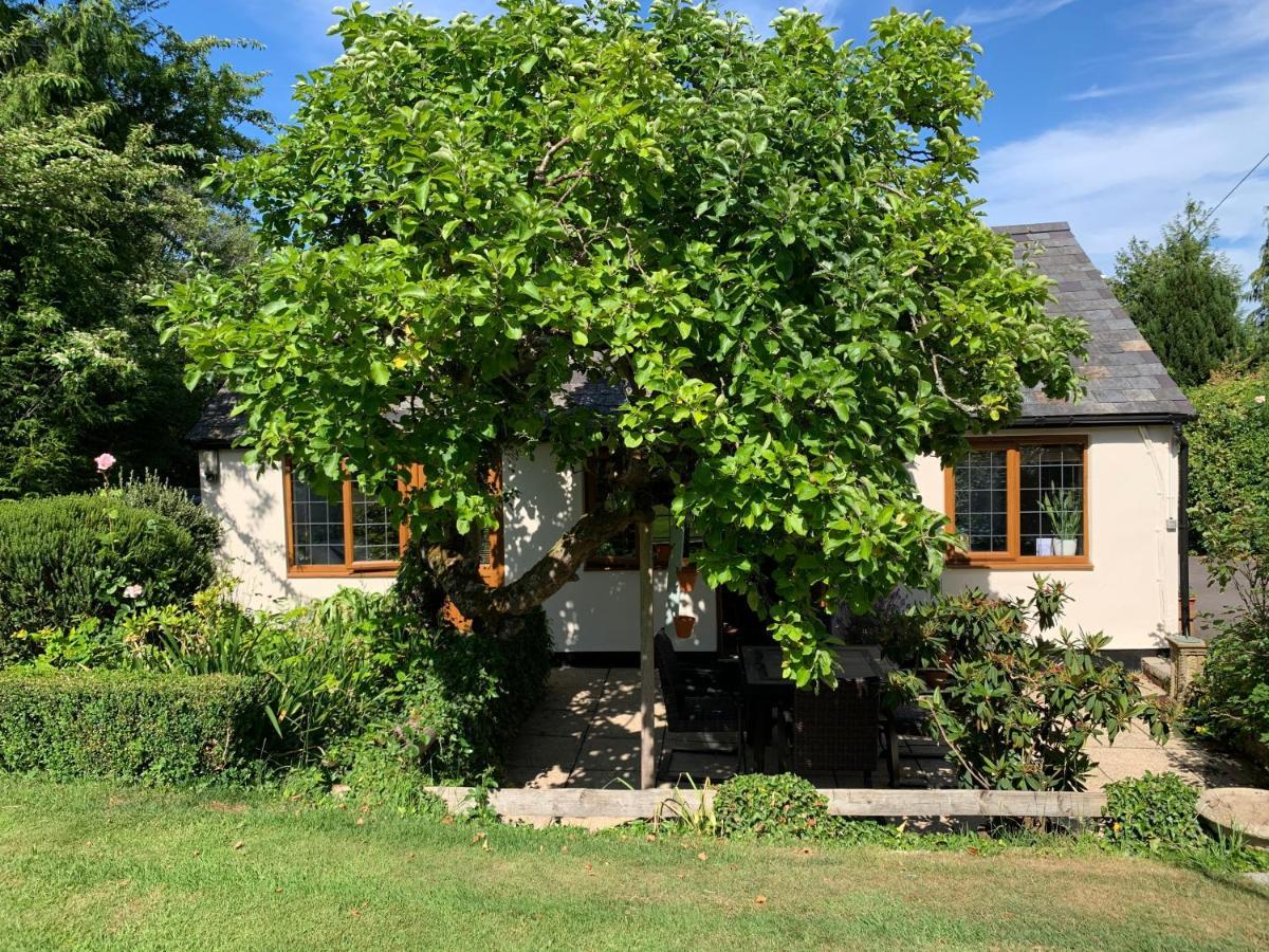 Newton Farmhouse Whiteparish Eksteriør billede